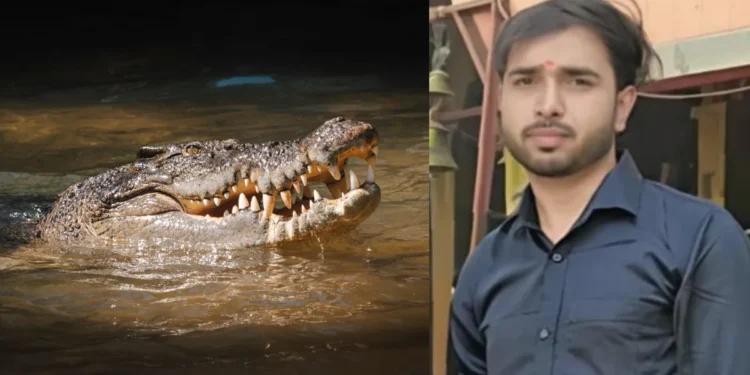 UP crocodile attack Gonda 2026